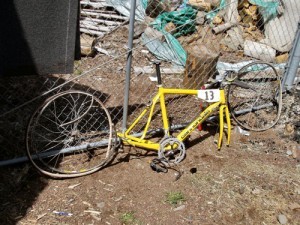 Oregon Bicyclist Run Over By Car