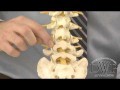 facet-joint-injury
