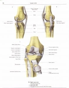 Trial Exhibit 10 - Right Knee